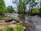 Wenne – die Wenne bei Wenholthausen