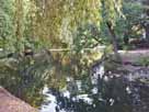 Florapark-Weiher