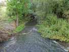 Bega (Lieme) – Blick von der Brücke Bielefelder Straße flussabwärts