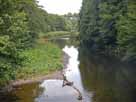 Bigge – Blick von der Schafsbrücke flussabwärts