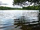 Pechteich – Blick vom südlichen Ufer Richtung Norden