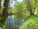 Fränkische Saale – Blick flussabwärts Richtung Brücke Michelau