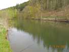 Fränkische Saale – oberhalb Gräfendorfer Wehr, Blick flussaufwärts