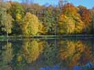 Thurnauer Schlossweiher