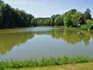 Thurnauer Schlossweiher – Blick vom Nordufer üner den Schlossweiher