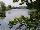 Freudenholmer Teiche – Blick in den Teich westlich der Straße