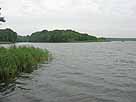 Pätzer Vordersee – Blick Richtung Halbinsel vom Süd-Ost-Ufer