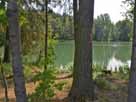 Luderweiher – Luderweiher, Waldstrand