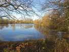 Vereinsteich Müssen – Blick auf den östlichen Seebereich