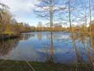 Vereinsteich Müssen – Blick vom Südufer über den See