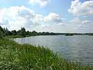 Inselteich – Blick entlang des Ostufers