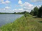 Inselteich – Blick vom Ostufer Richtung Norden