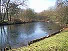 Stadtwaldweiher