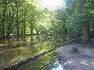 Stadtwaldweiher – Kanal zwischen Endweiher und Wildpark