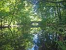 Stadtwaldweiher – Blick auf die Steinbrücke am Wildpark