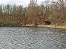 Schilfsee – Blick in die südöstl. Bucht