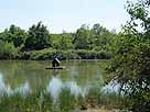 Schilfsee – Laich-Schongebiet