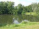 Komarerwegweiher – nordwestl. Bereich