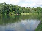 Komarerwegweiher – nördl. Seebereich