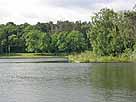 Komarerwegweiher – östl. Inselerweiterung