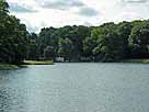 Komarerwegweiher – Blick auf den östl. Seebereich