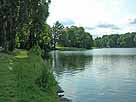 Komarerwegweiher – nordöstl. Uferbereich