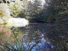 BASt Weiher
