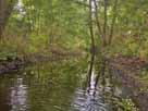 Lindower Rhin