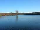 Höhenfelder See – Blick vom Westufer