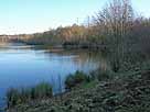 Höhenfelder See – Blick entlang des Südufers