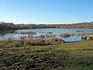 Höhenfelder See – Flachwasserzone im östl. Bereich