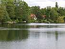 Edebergsee – Blick auf das östliche Ufer