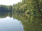 Edebergsee – bewachsenes Westufer