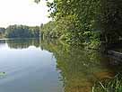 Edebergsee – Blick entlang des Westufers