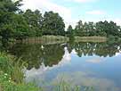 Stradower Teiche – oberster nordwestlicher Teich