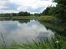 Stradower Teiche – mittlerer Teich