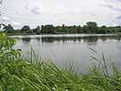 Stradower Teiche – mittlerer Teich