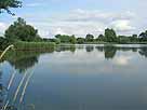 Stradower Teiche – mittlerer Teich