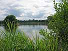 Stradower Teiche – mittlerer westlicher Teich