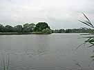 Stradower Teiche – mittlerer westlicher Teich
