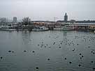 Bodensee – Blick in den Hafen Konstanz