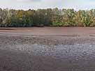 Wendebachstausee – Blick vom Südufer auf den leeren Stausee