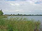 Barleber See II – Blick Richtung Norden