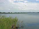 Barleber See II – Blick Richtung Nordost-Ufer