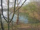 Großer Dehlensee – Blick vom Südostufer
