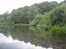 Ophovener Weiher – Blick entlang des südwestlichen Ufers