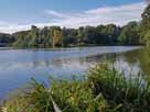 Ferkensbruch – Seitenblick