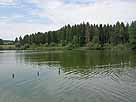 Königseggsee – Badeanstalt, Blick in der nördlichen Seebereich