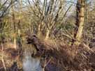Glabbacher Bruch – Abfluss der Kleinen Renne