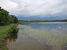 Altshauser Weiher – Blick entlang des südwestlichen Ufers